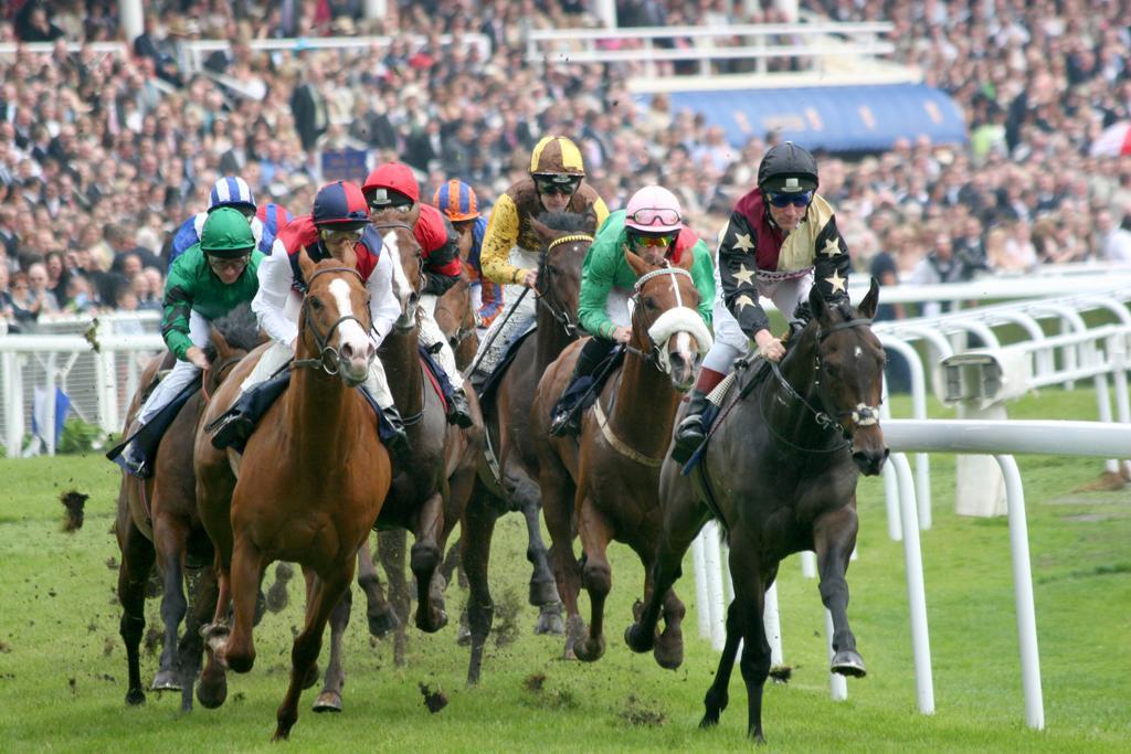 The Racecourse Gathering * Chester